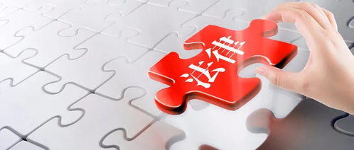 金稅四期時(shí)代 企業(yè)資產(chǎn)管理的合規(guī)挑戰(zhàn)與應(yīng)對策略